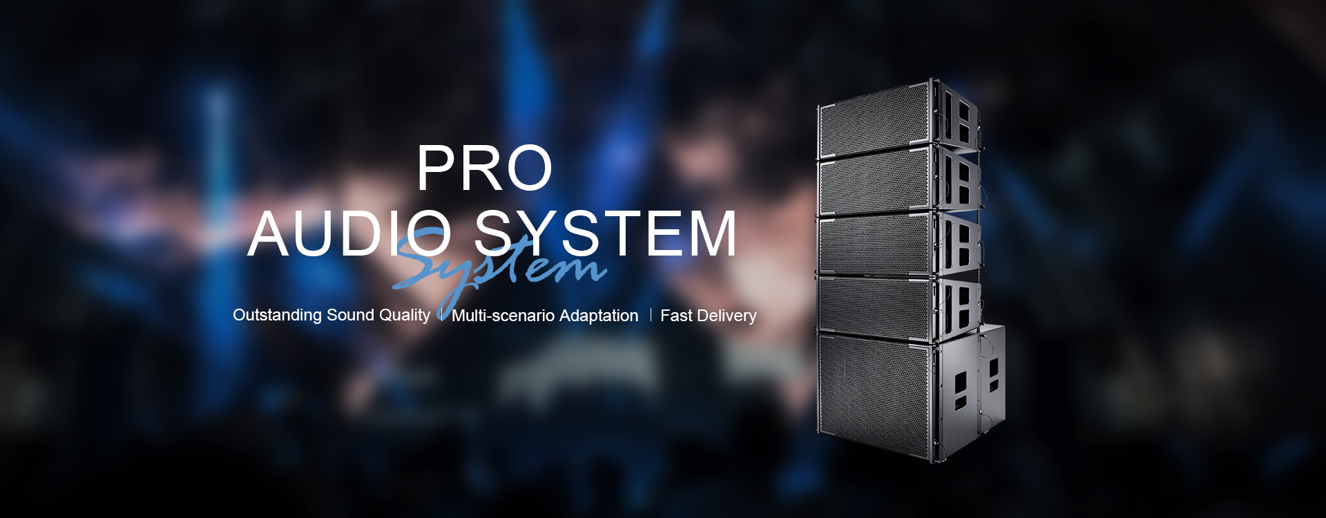 Professional Sound System