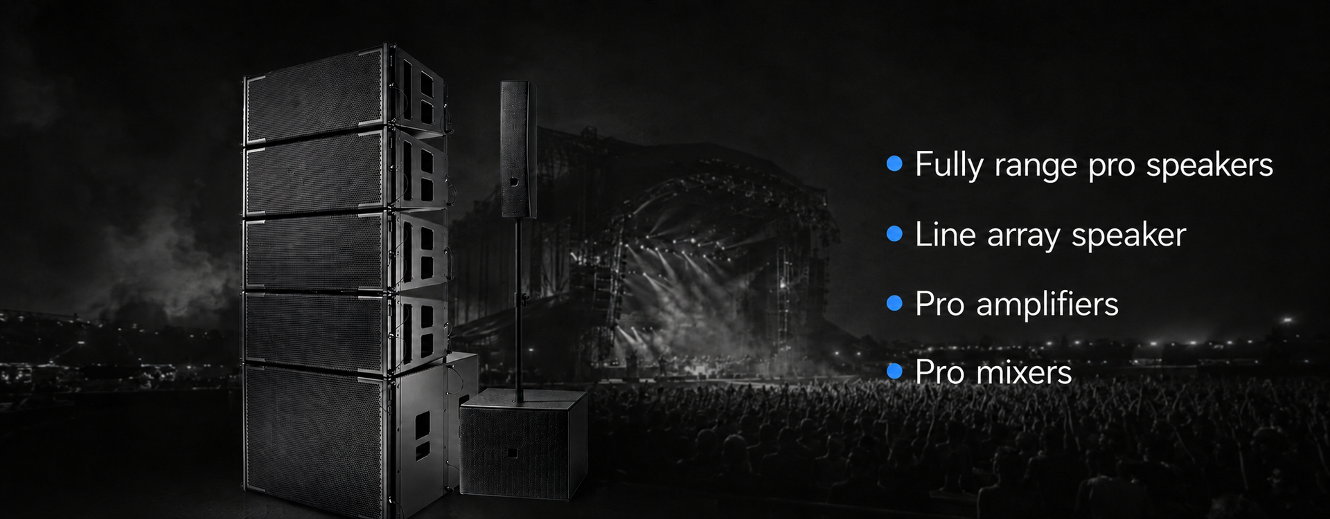 Professional Sound System